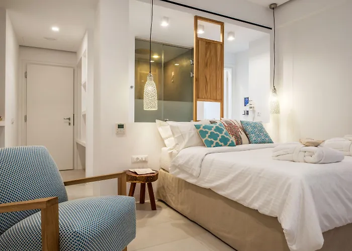 بلوتوبيا سويتس 4* Mykonos Town